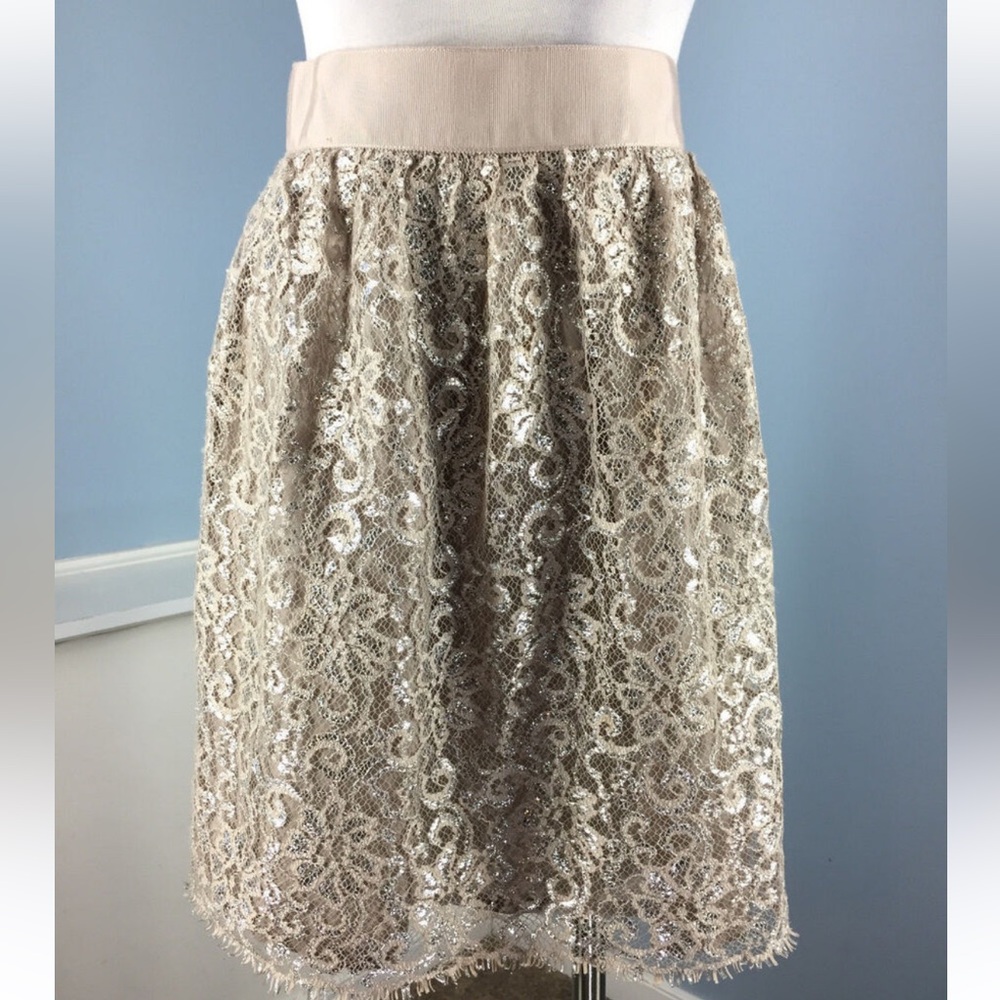 J. Crew Lace Skirt